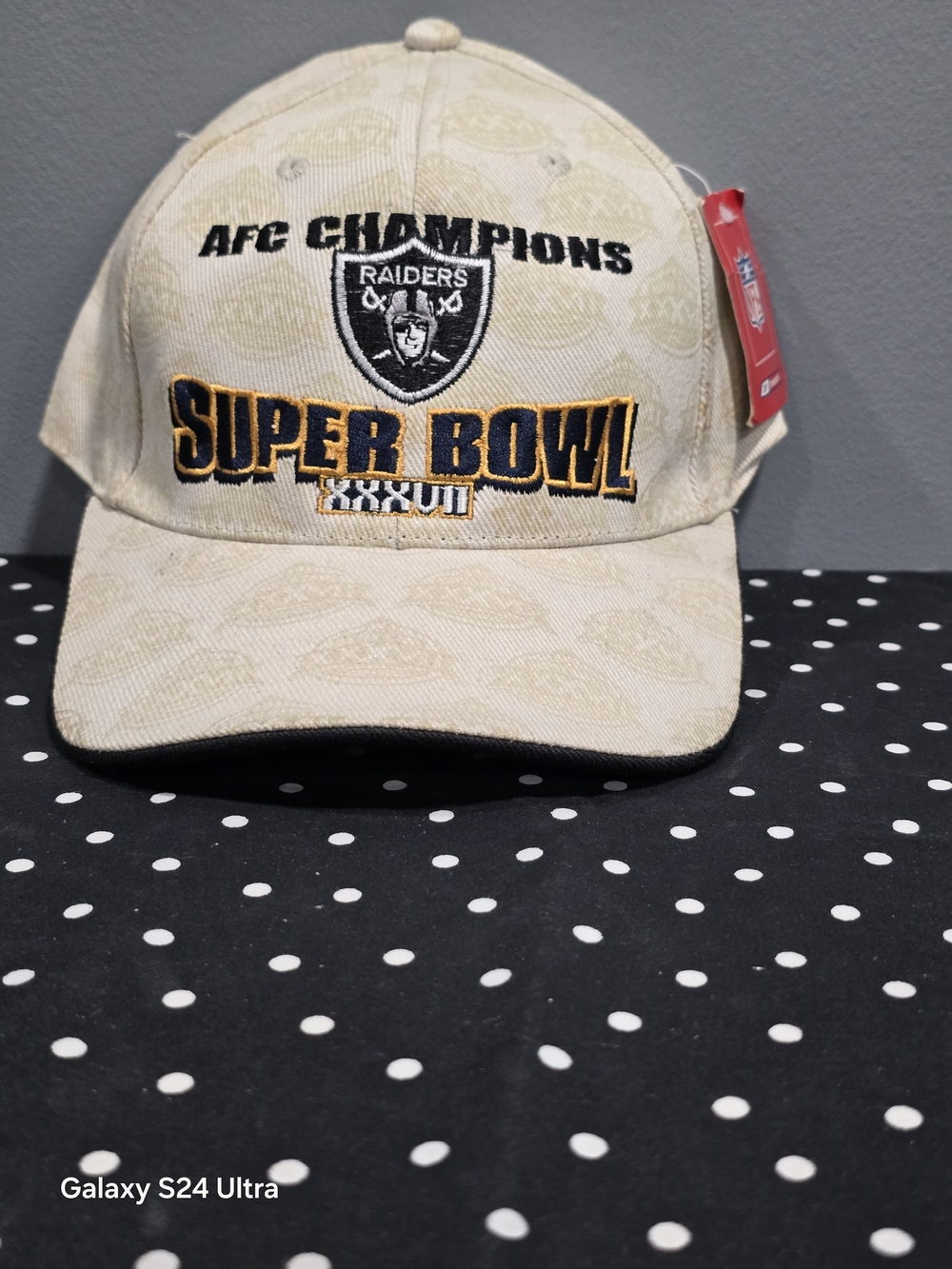 Cream Raiders AFC Champions Super Bowl Cap
